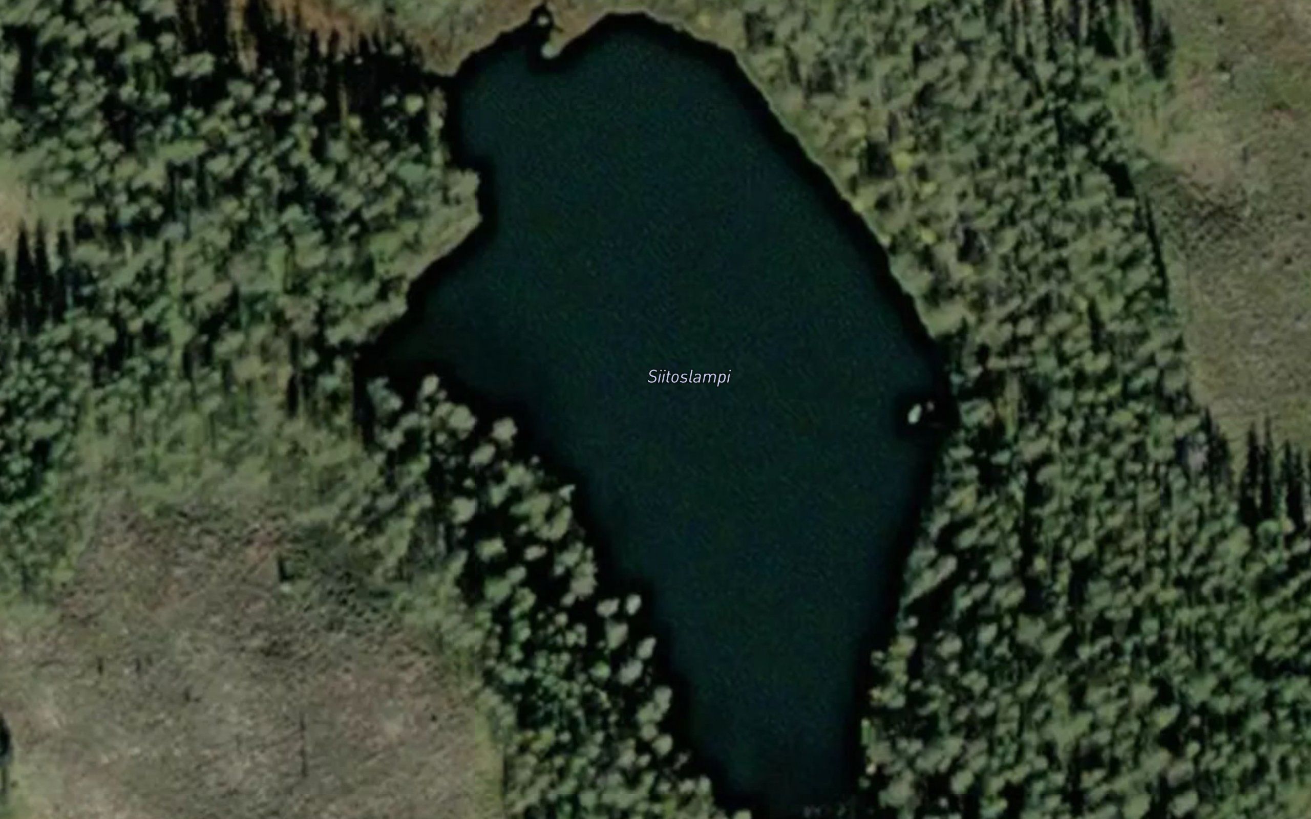 Siitoslampi