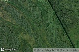 Bayou Cypriere Longue