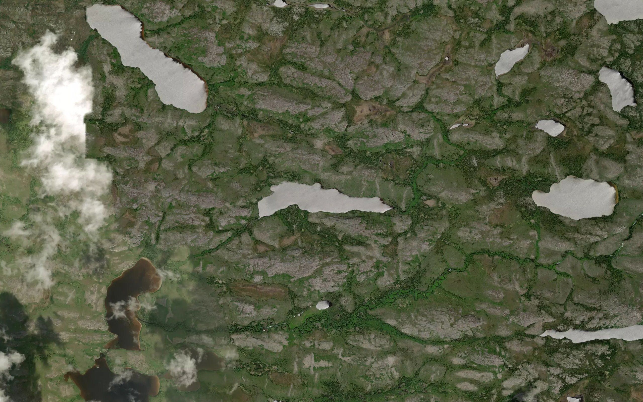 Lac Atikw Miskumi