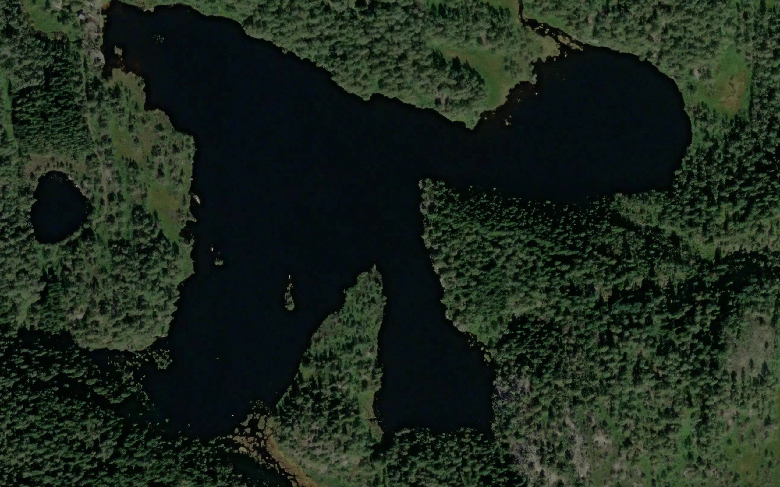 Hedkjerrvann
