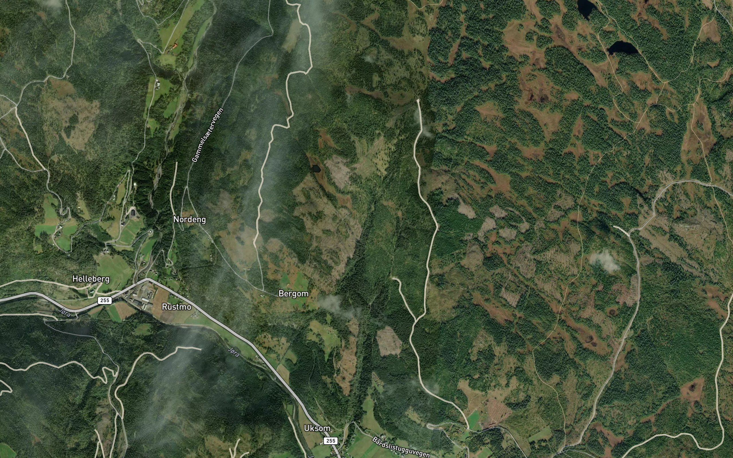 Ulva