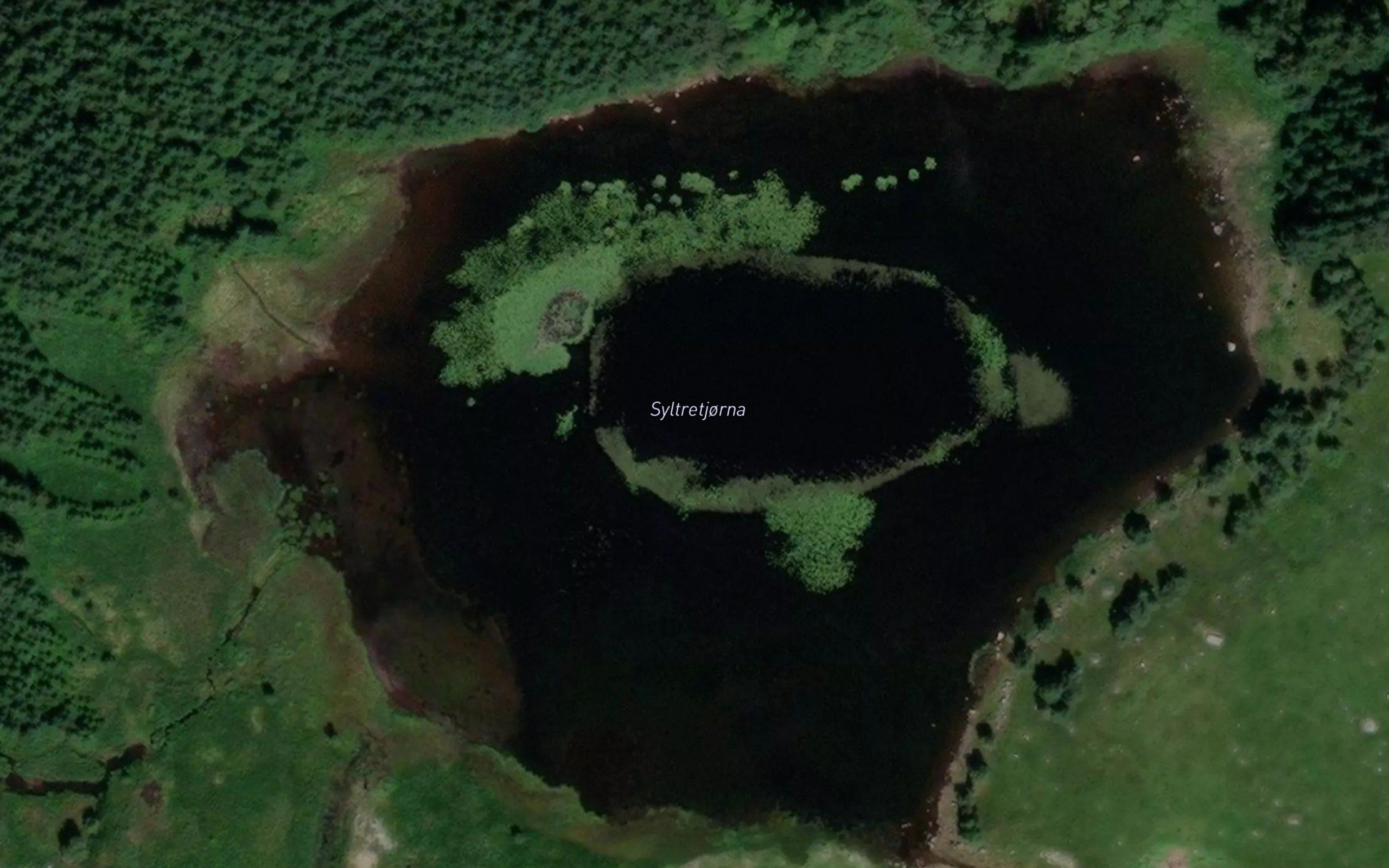 Syltretjorni