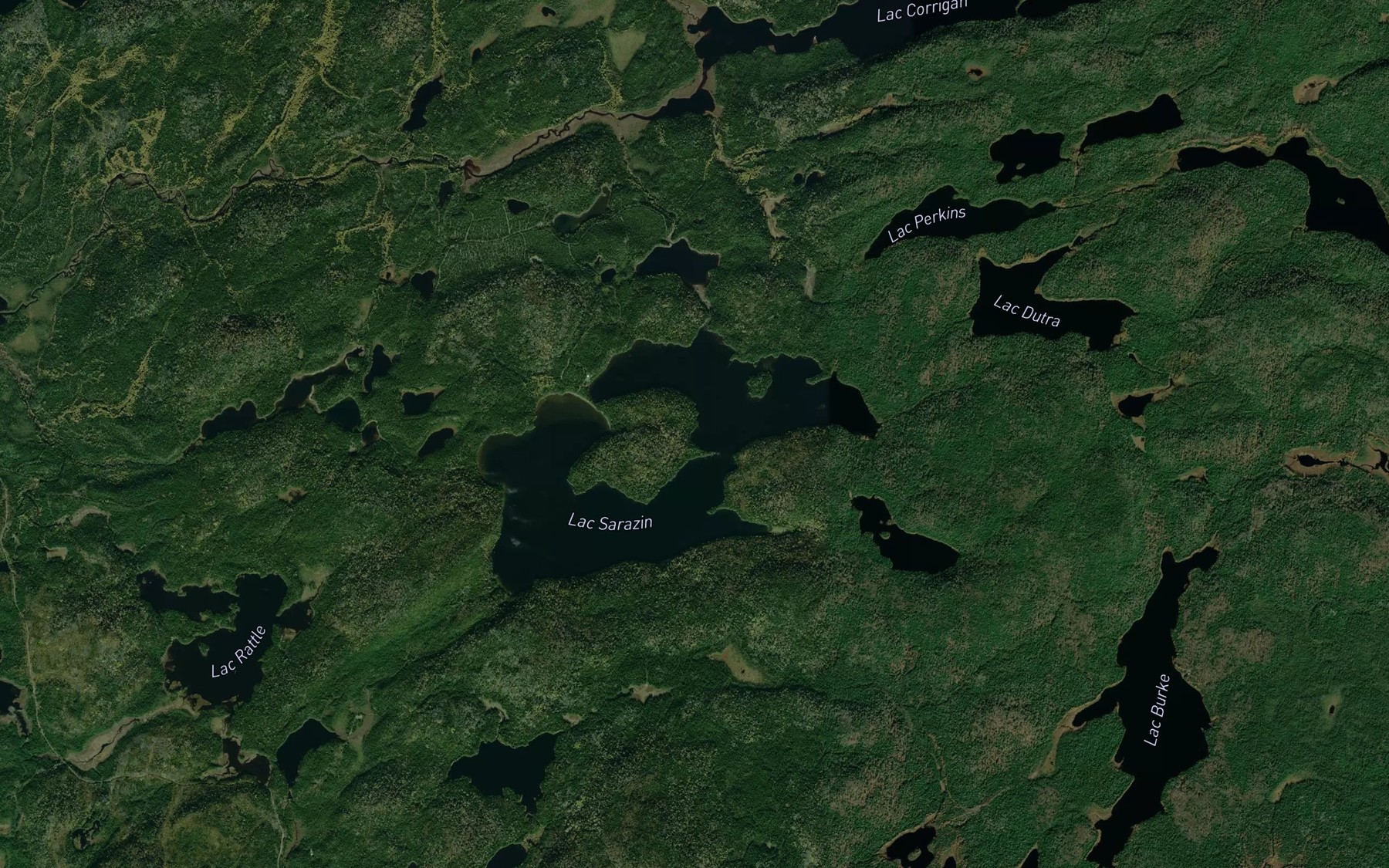 Satellite map of the Lac Sarazin