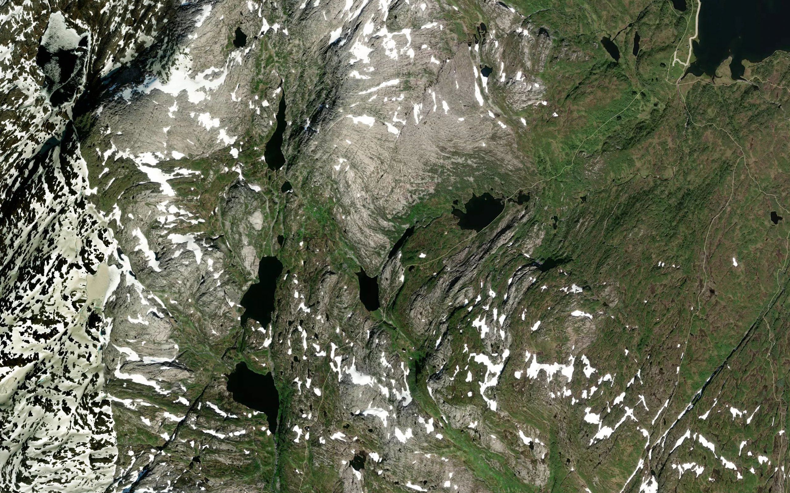 Langtjorni