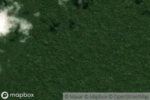 Igarape Mato Grosso