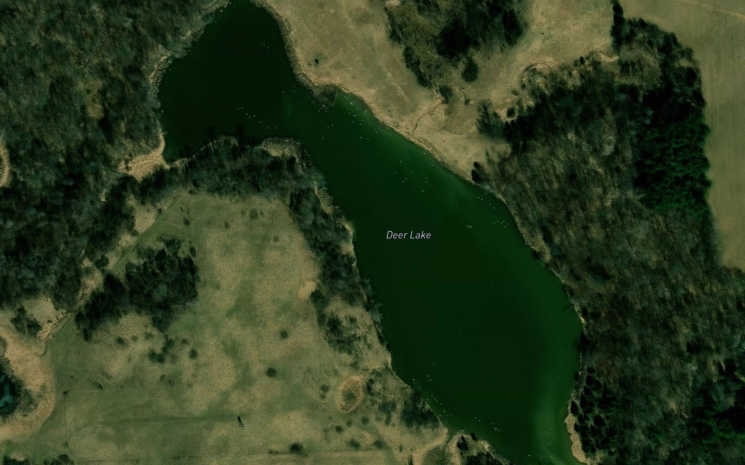 Deer Lake