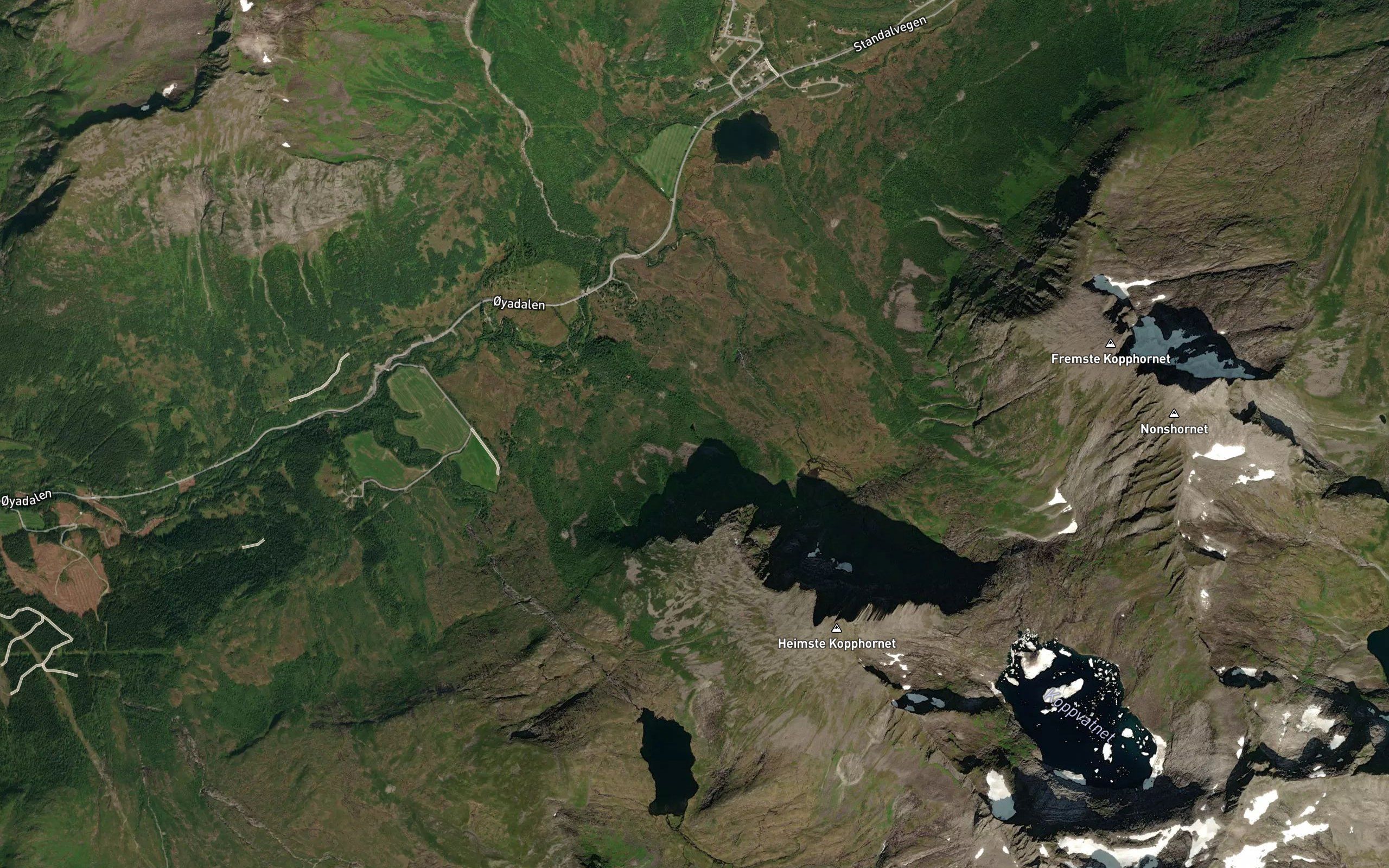 Svartastjonna