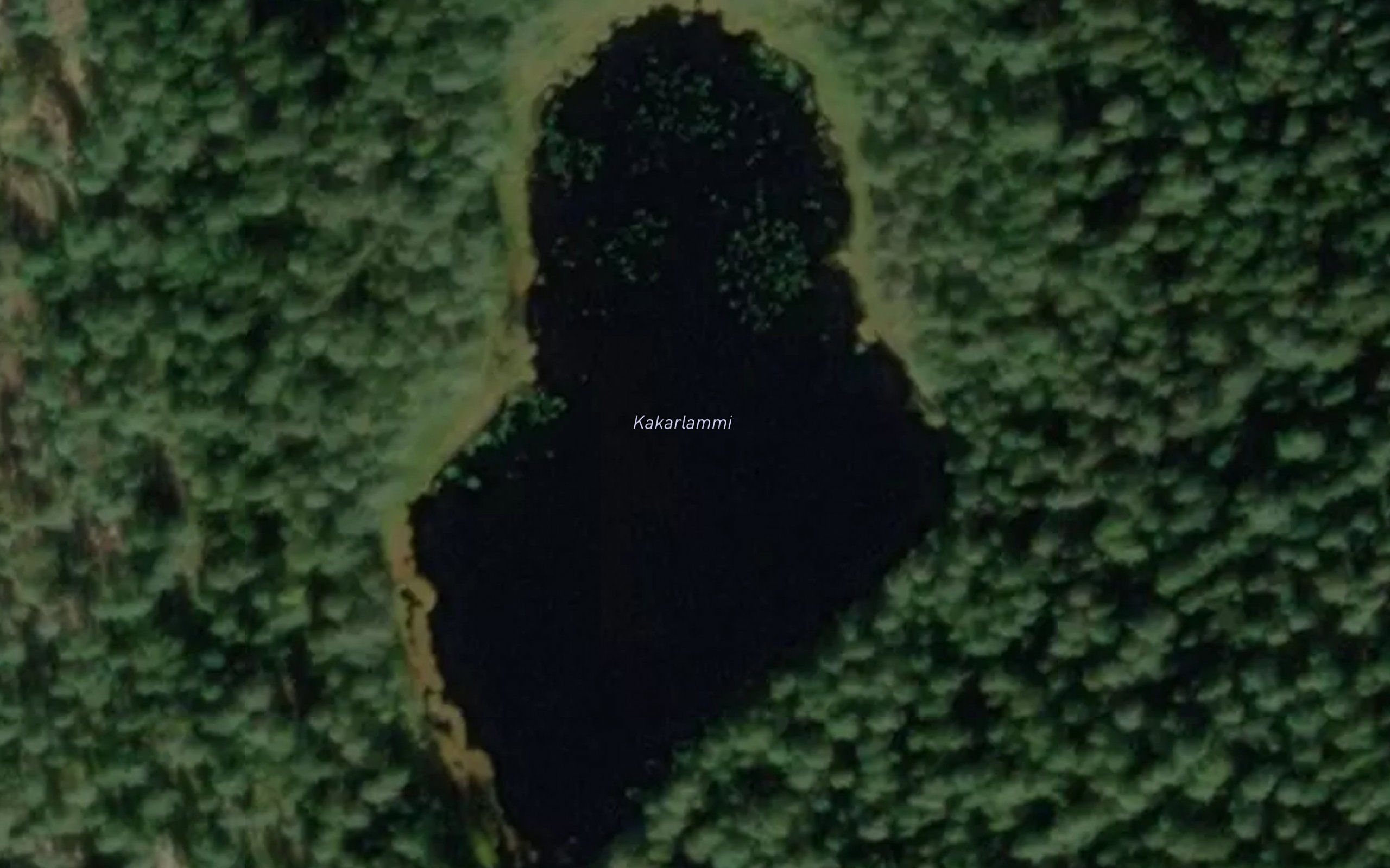 Kakarlammi