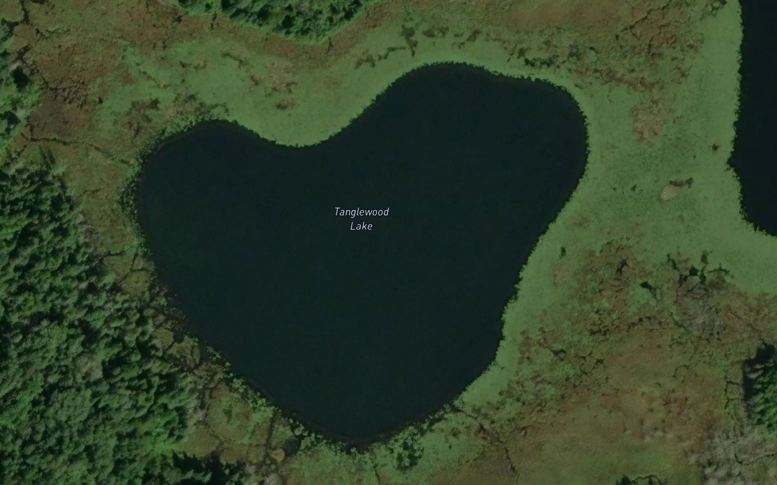 Tanglewood Lake