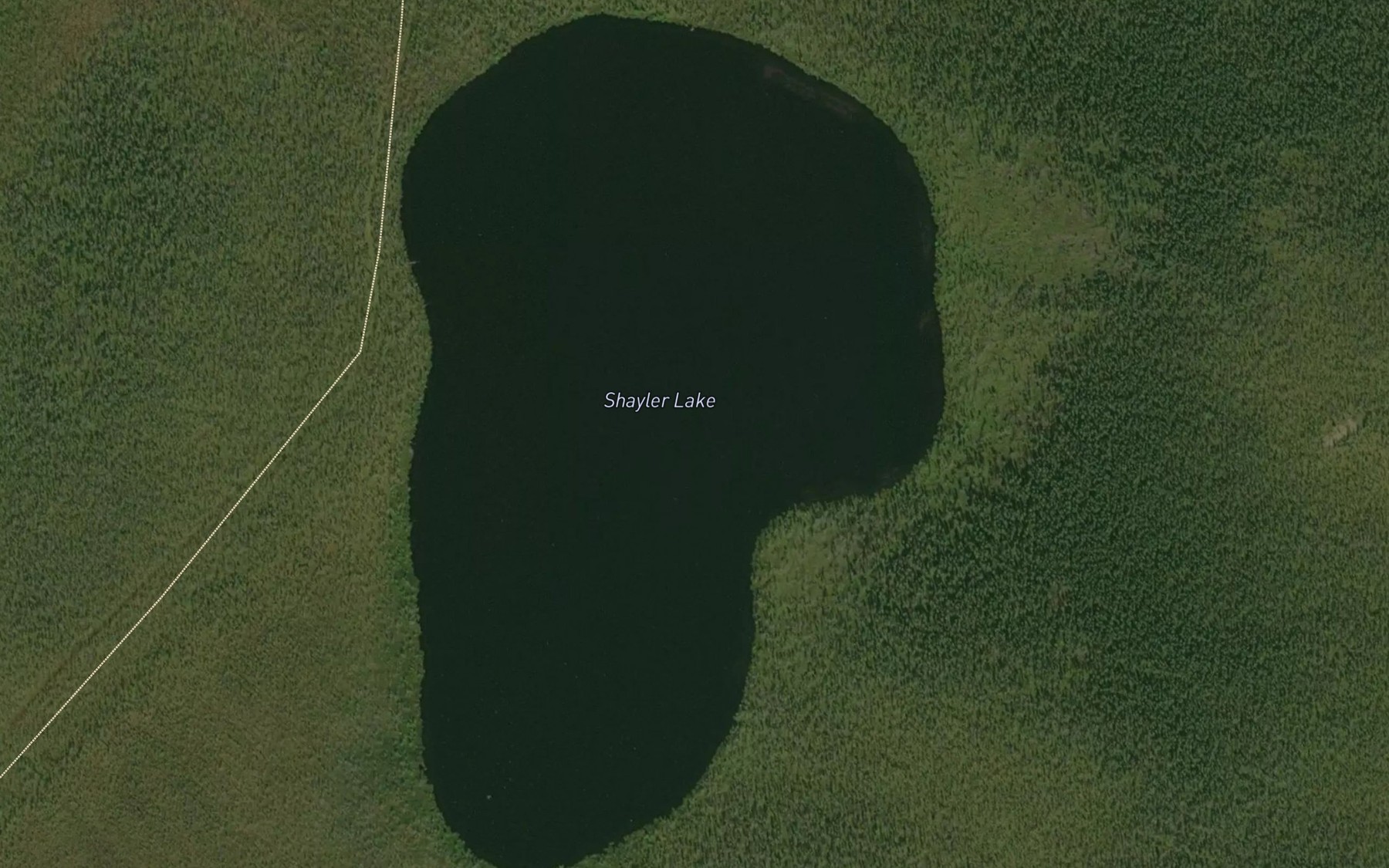 Satellite map of the Shayler Lake