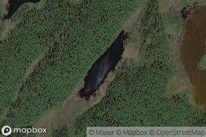 Cievcapiervaljaavras