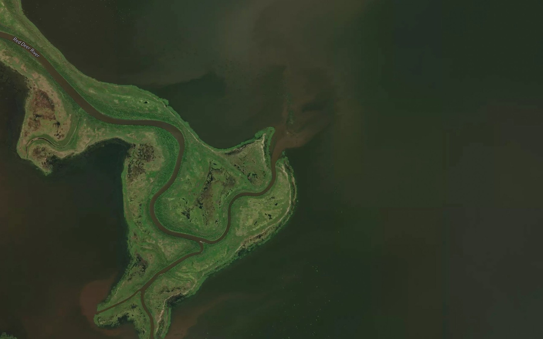 Satellite map of the East Branch Red Deer River