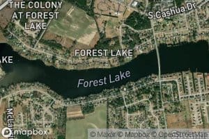 Forest Lake