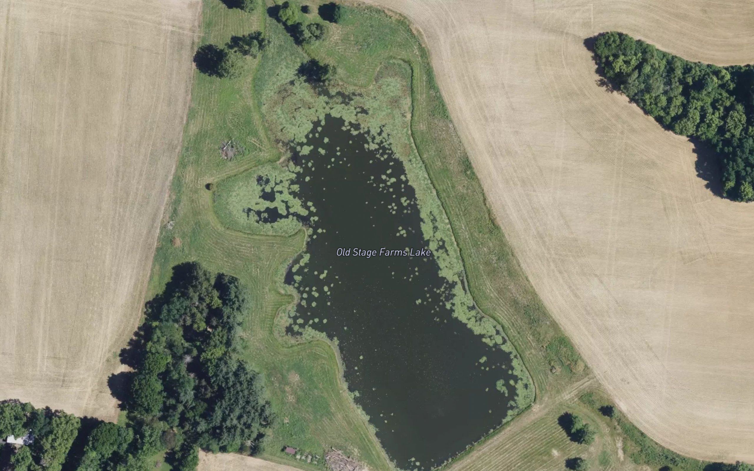Old Stage Farms Lake