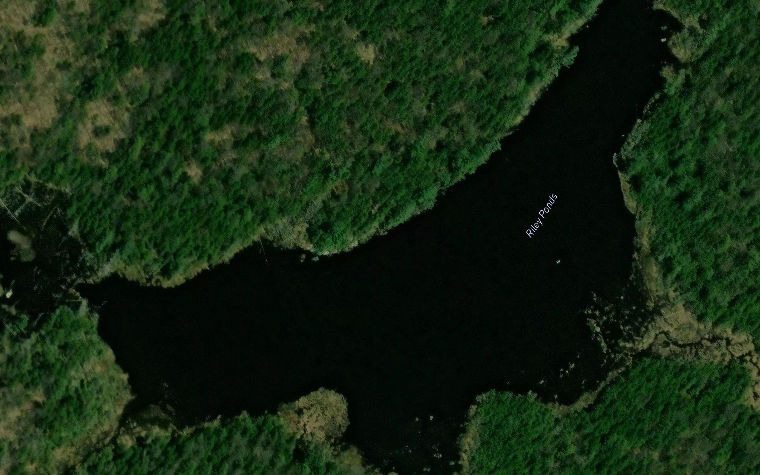 Riley Ponds