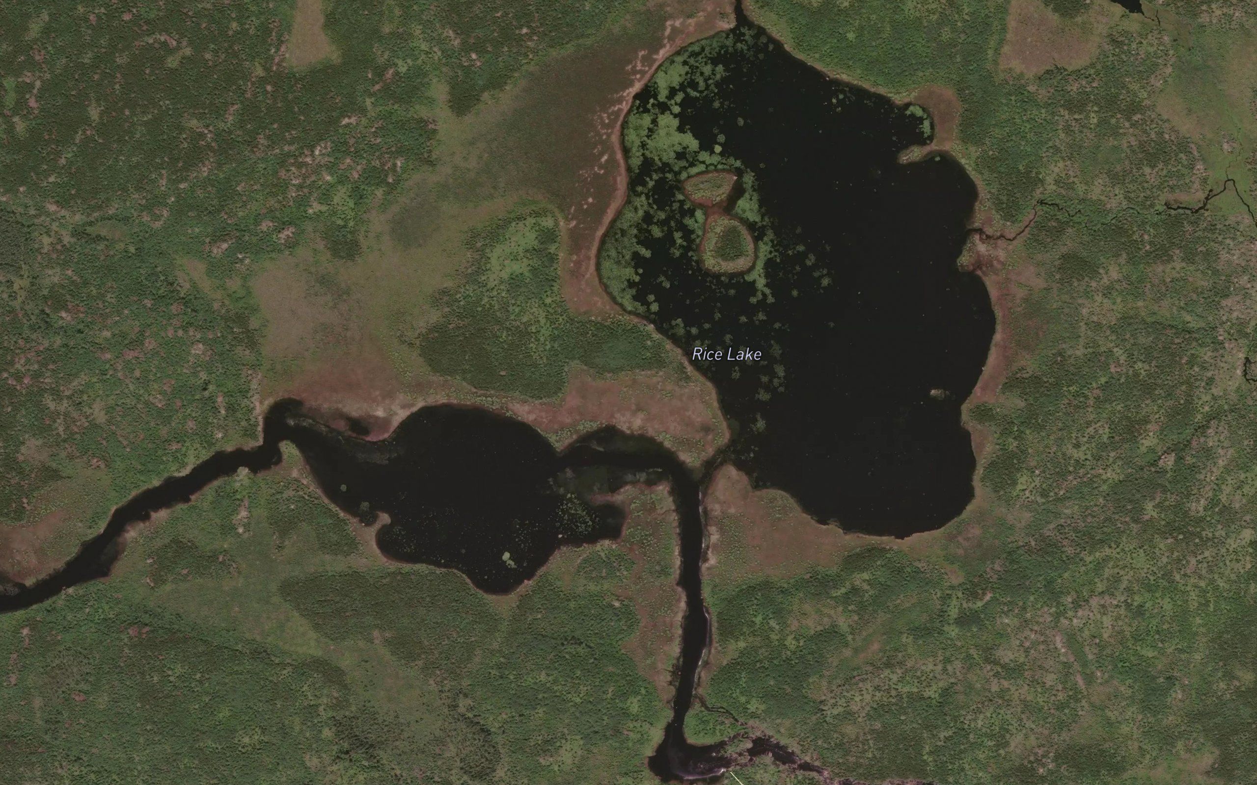 Rice Lake