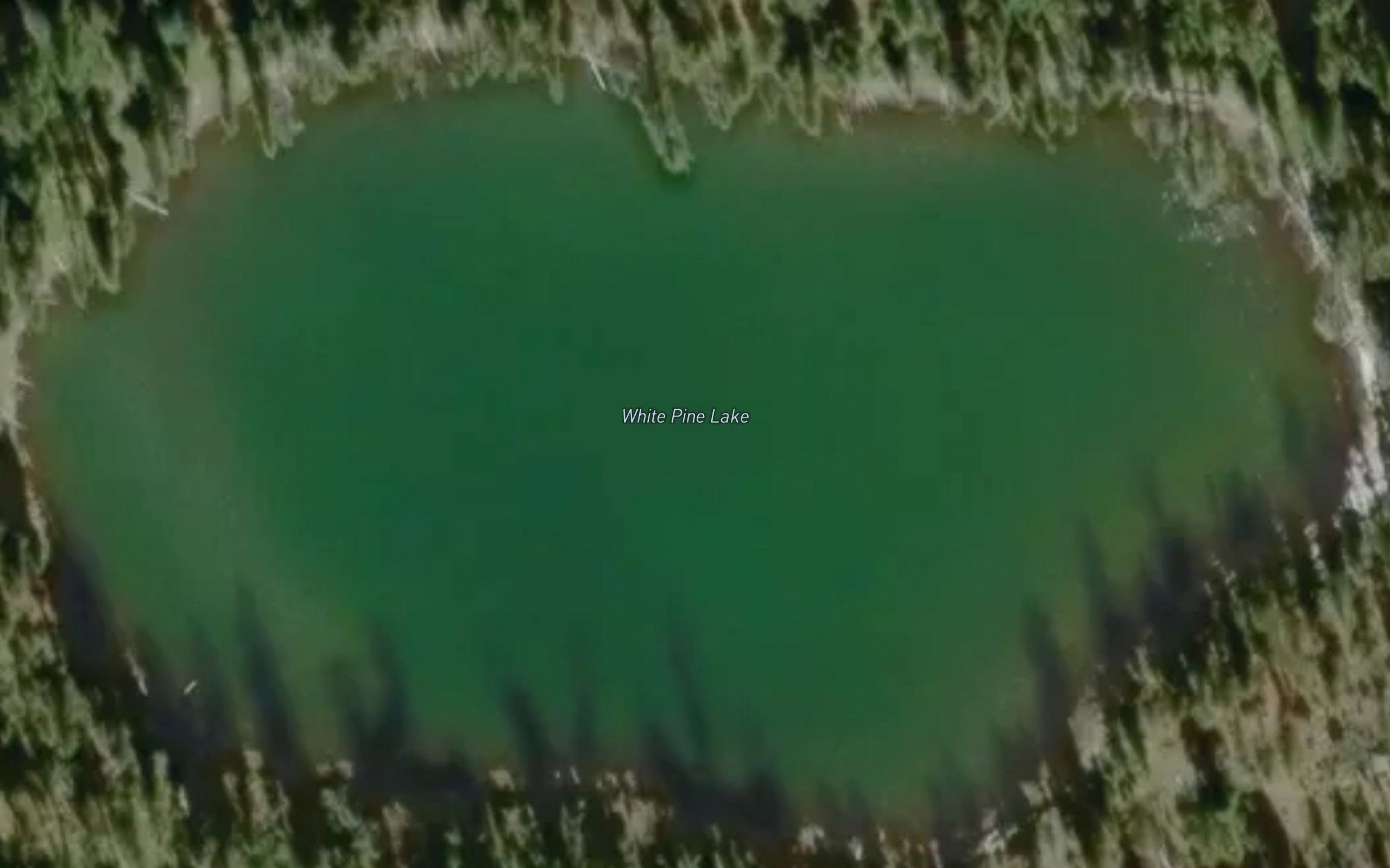 White Pine Lake
