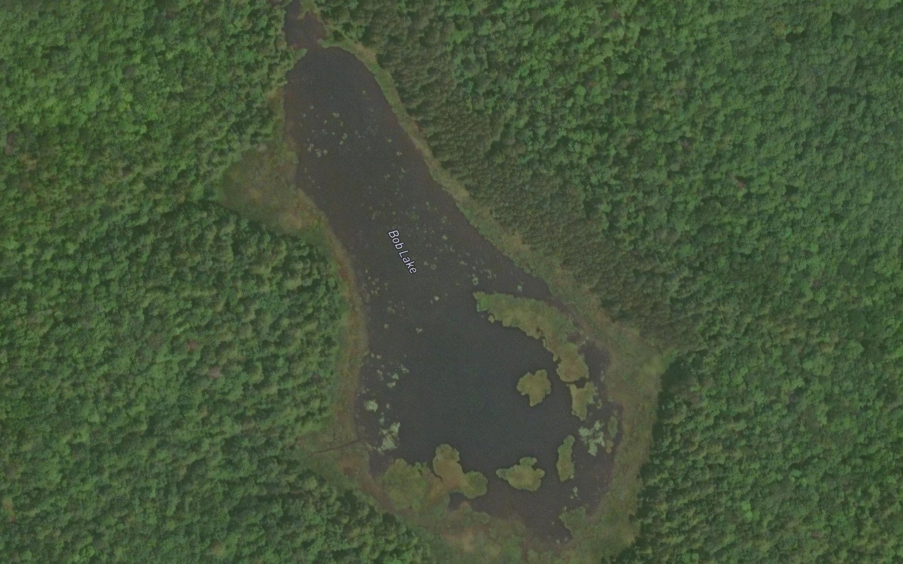 Satellite map of the Bob Lake