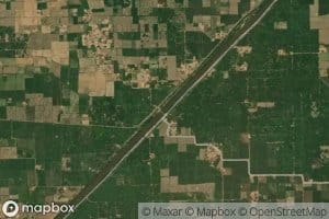 Shah Din Distributary