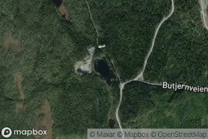 Butjern
