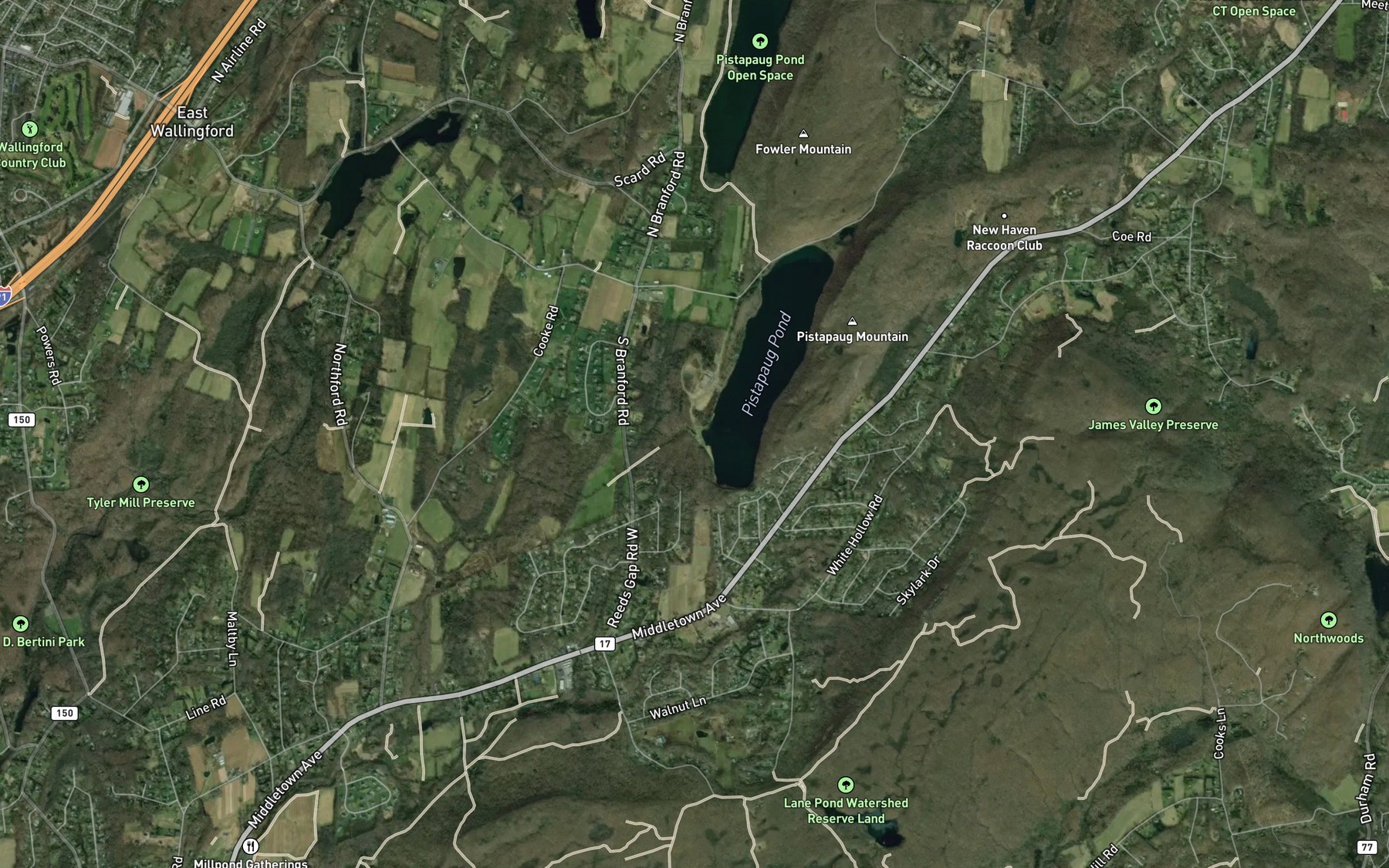 Satellite map of the Pistapaug Pond