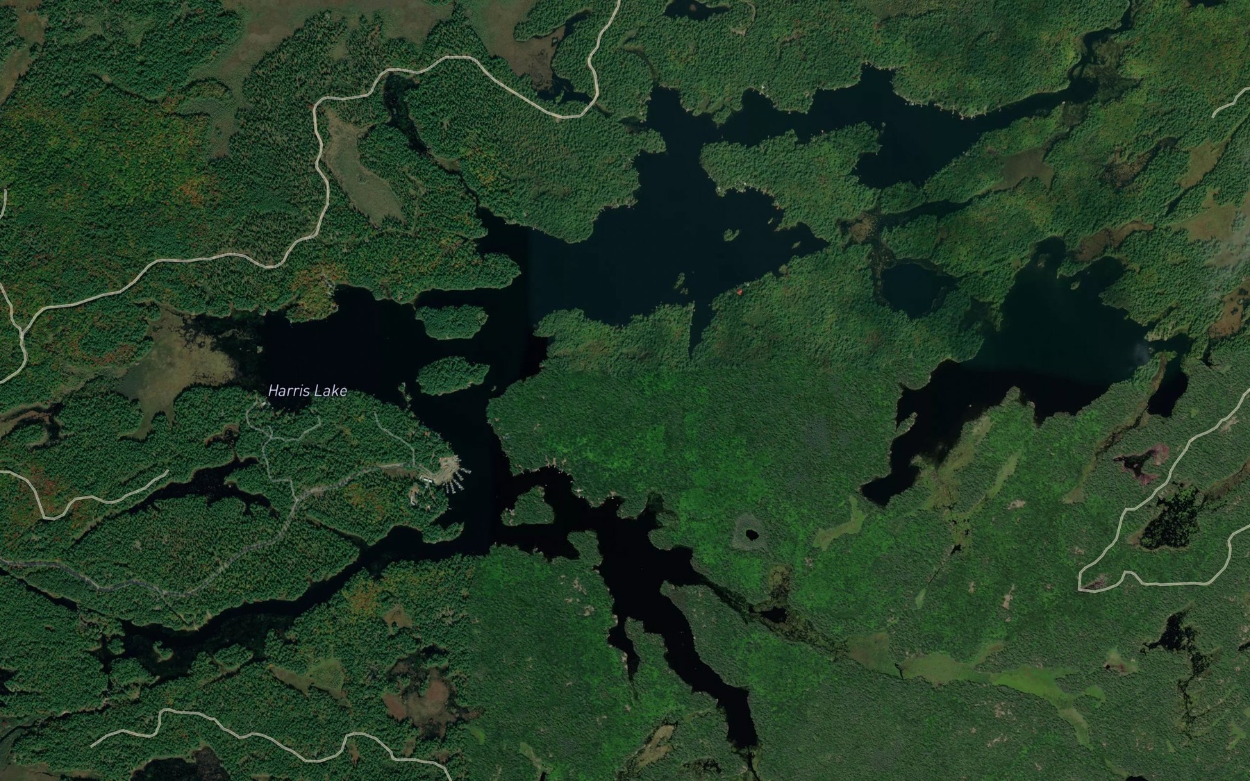 Satellite map of the Harris Lake