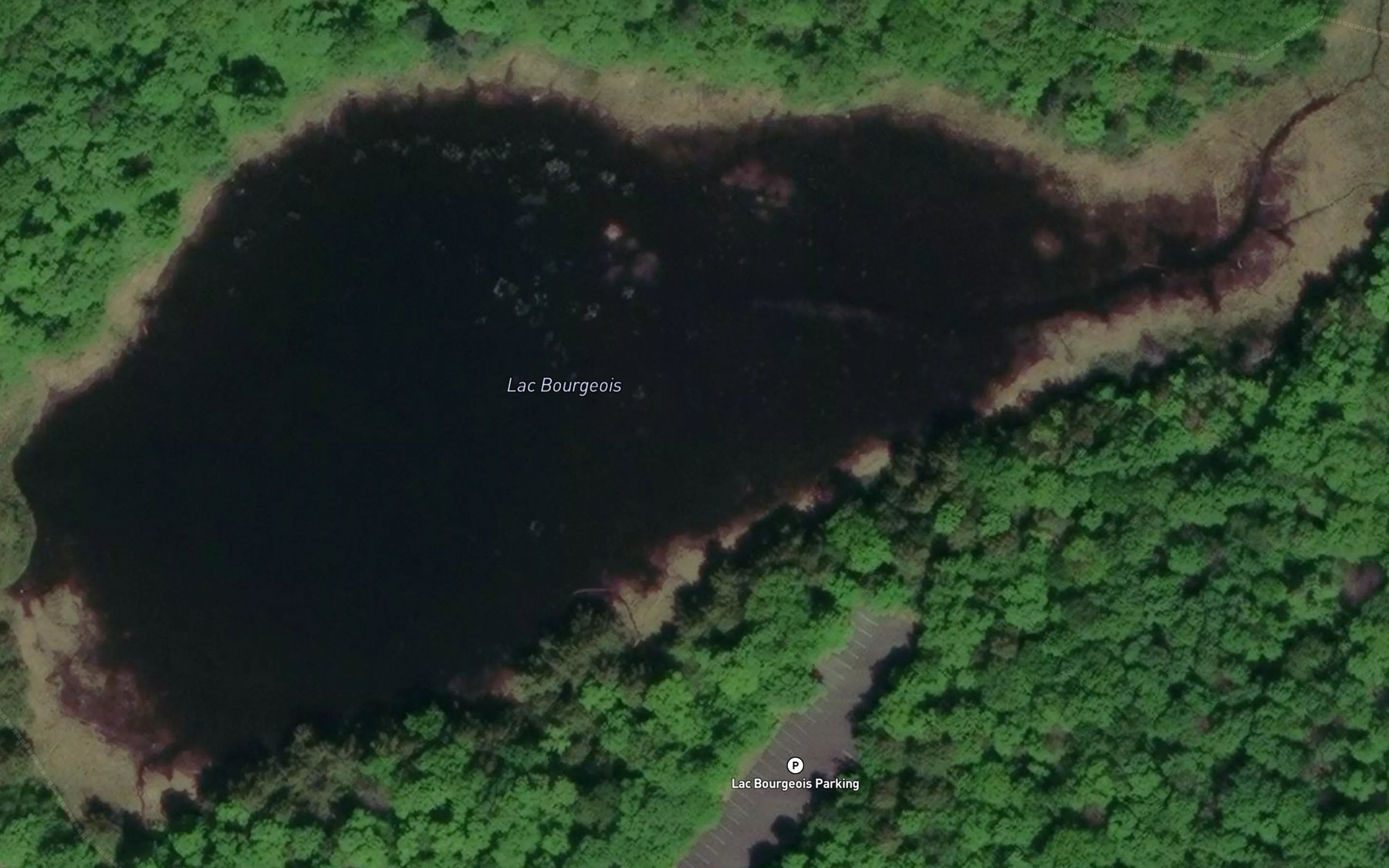 Satellite map of the Lac Bourgeois