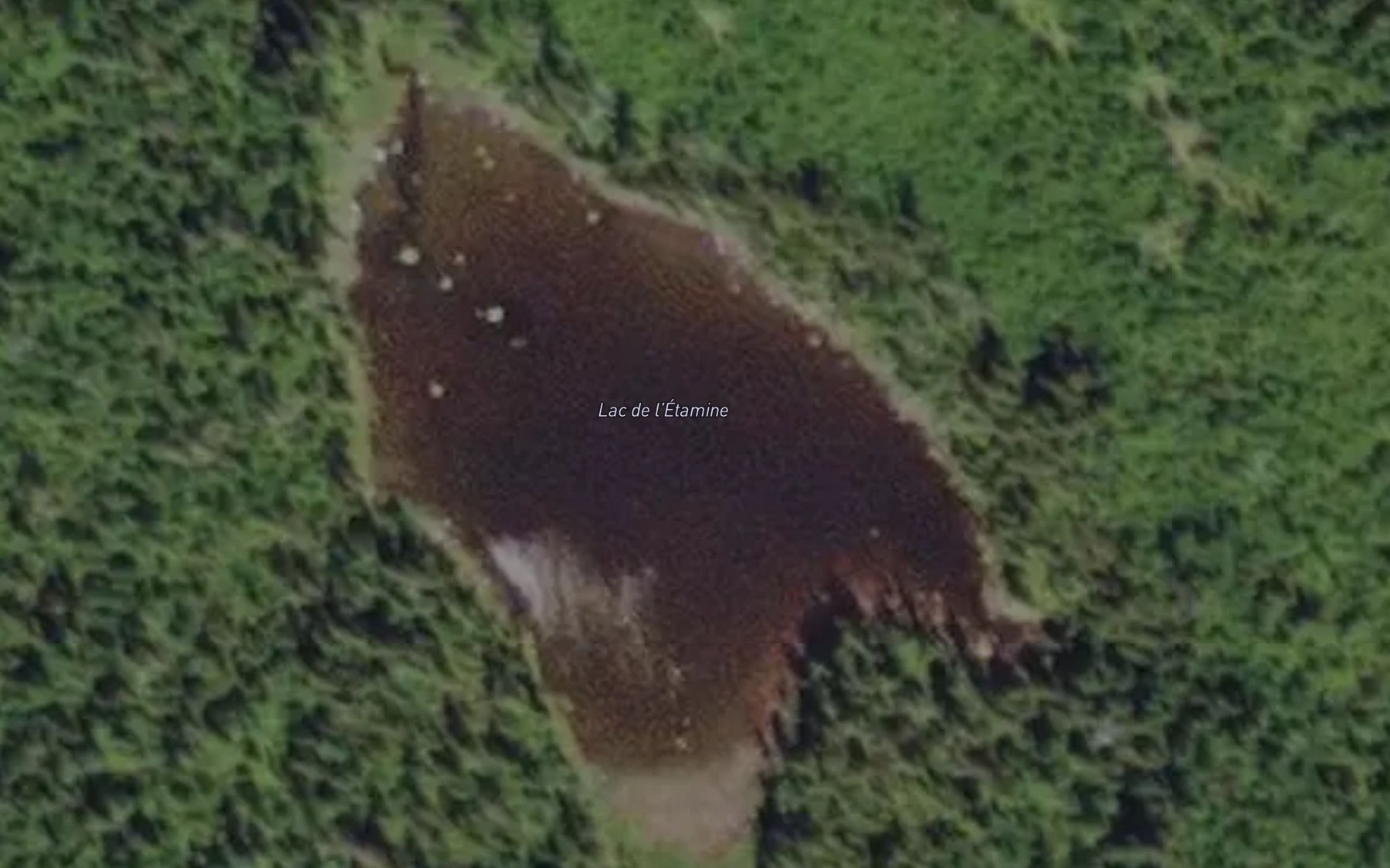 Satellite map of the Lac de l'Etamine
