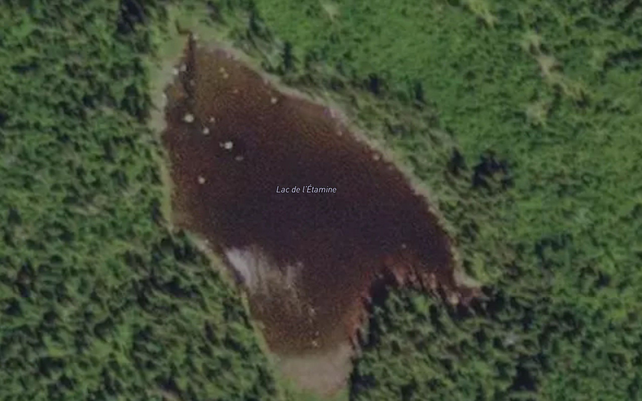Lac de l'Etamine