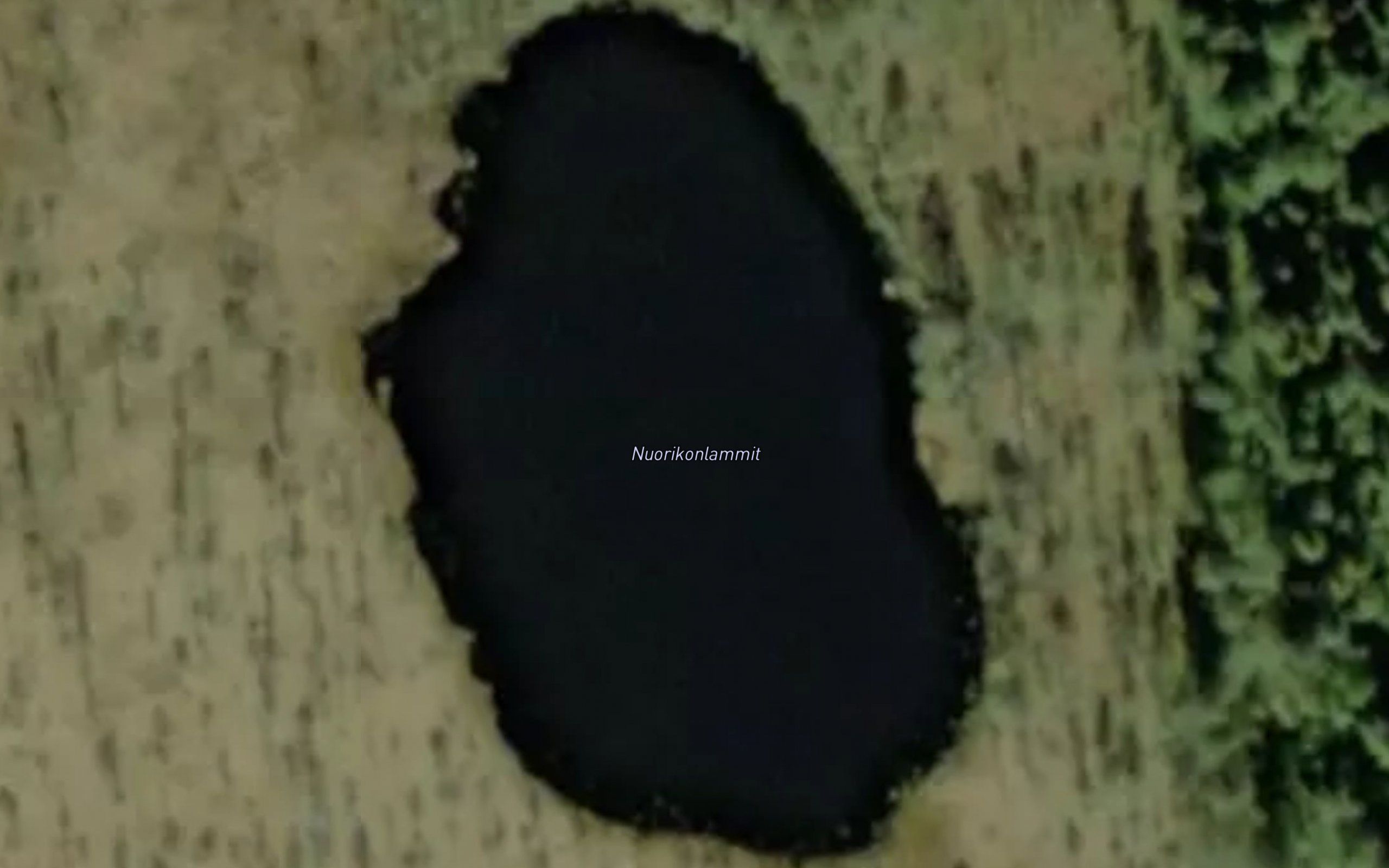 Nuorikonlammit