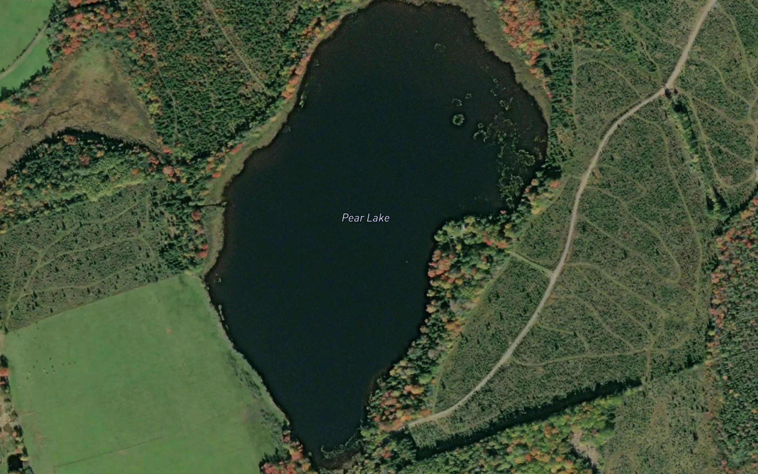 Pear Lake