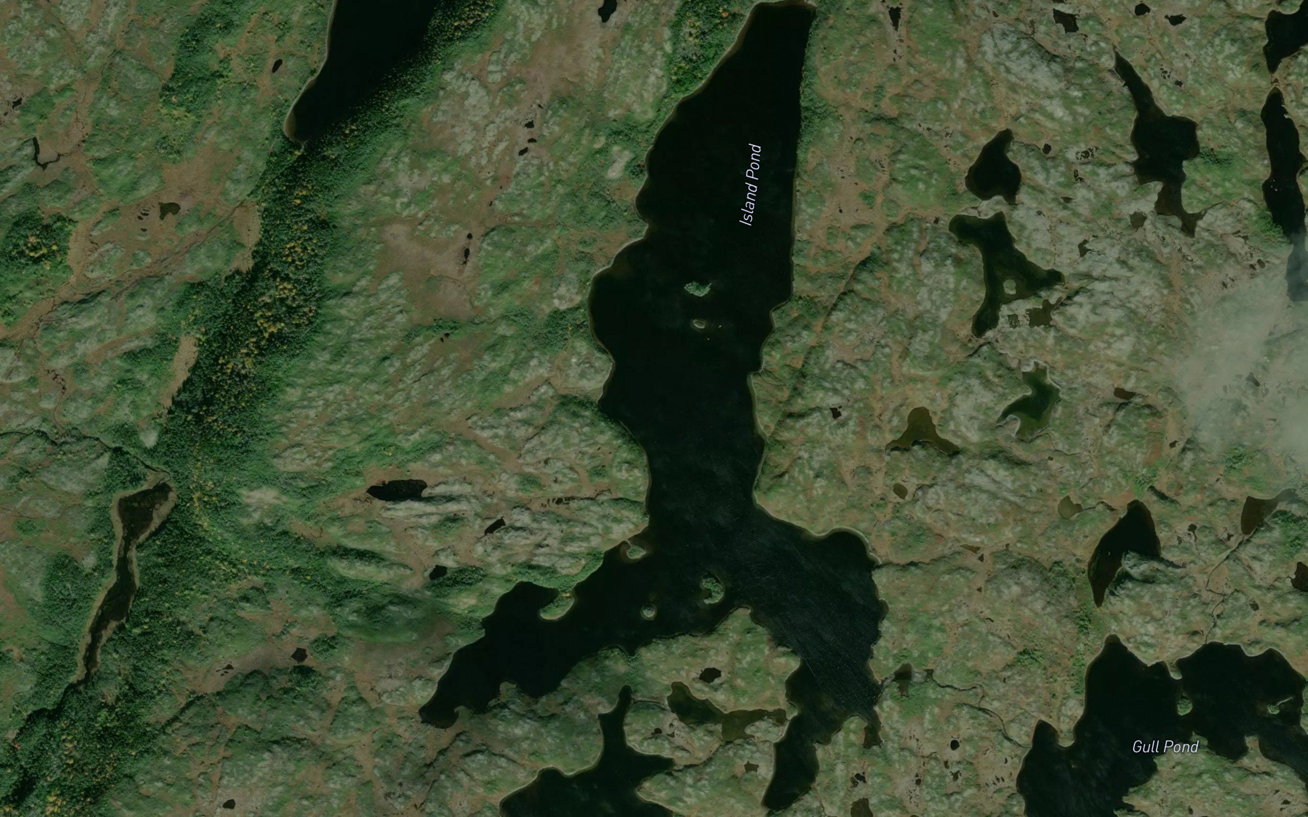 Island Pond