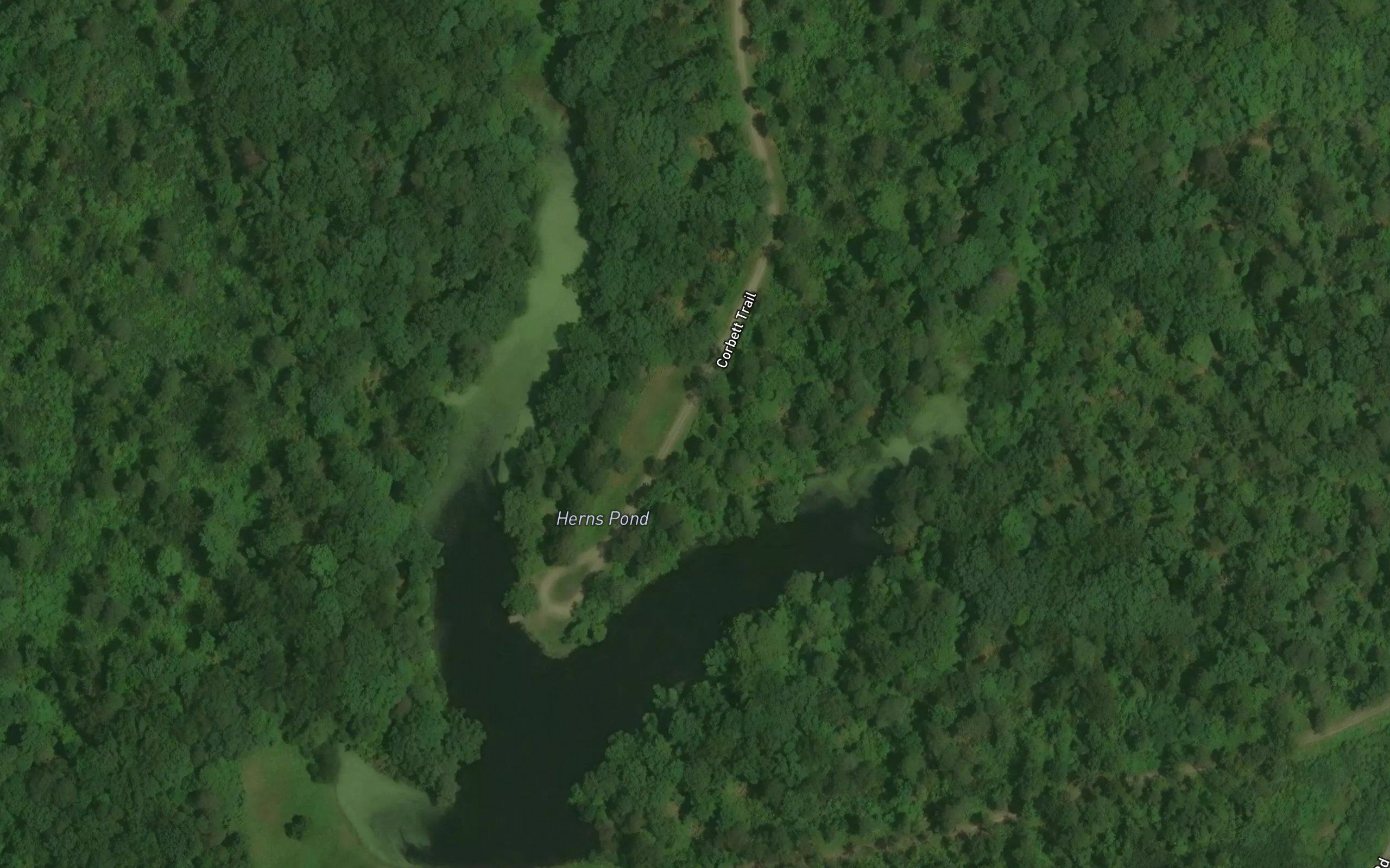 Herns Pond