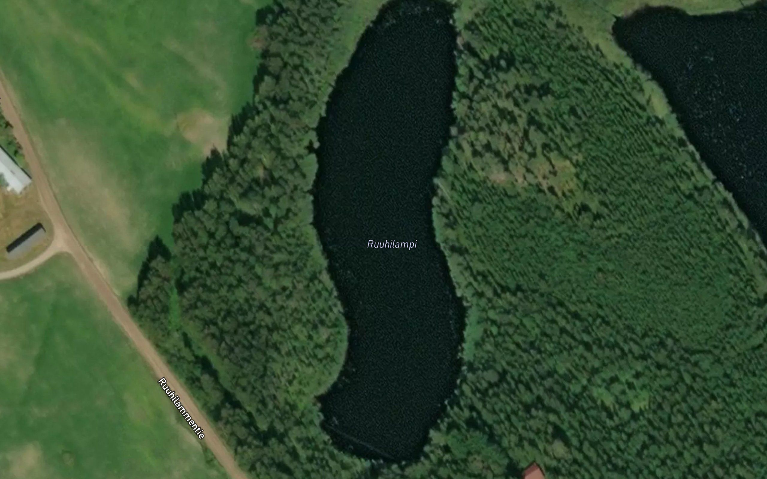 Ruuhilampi
