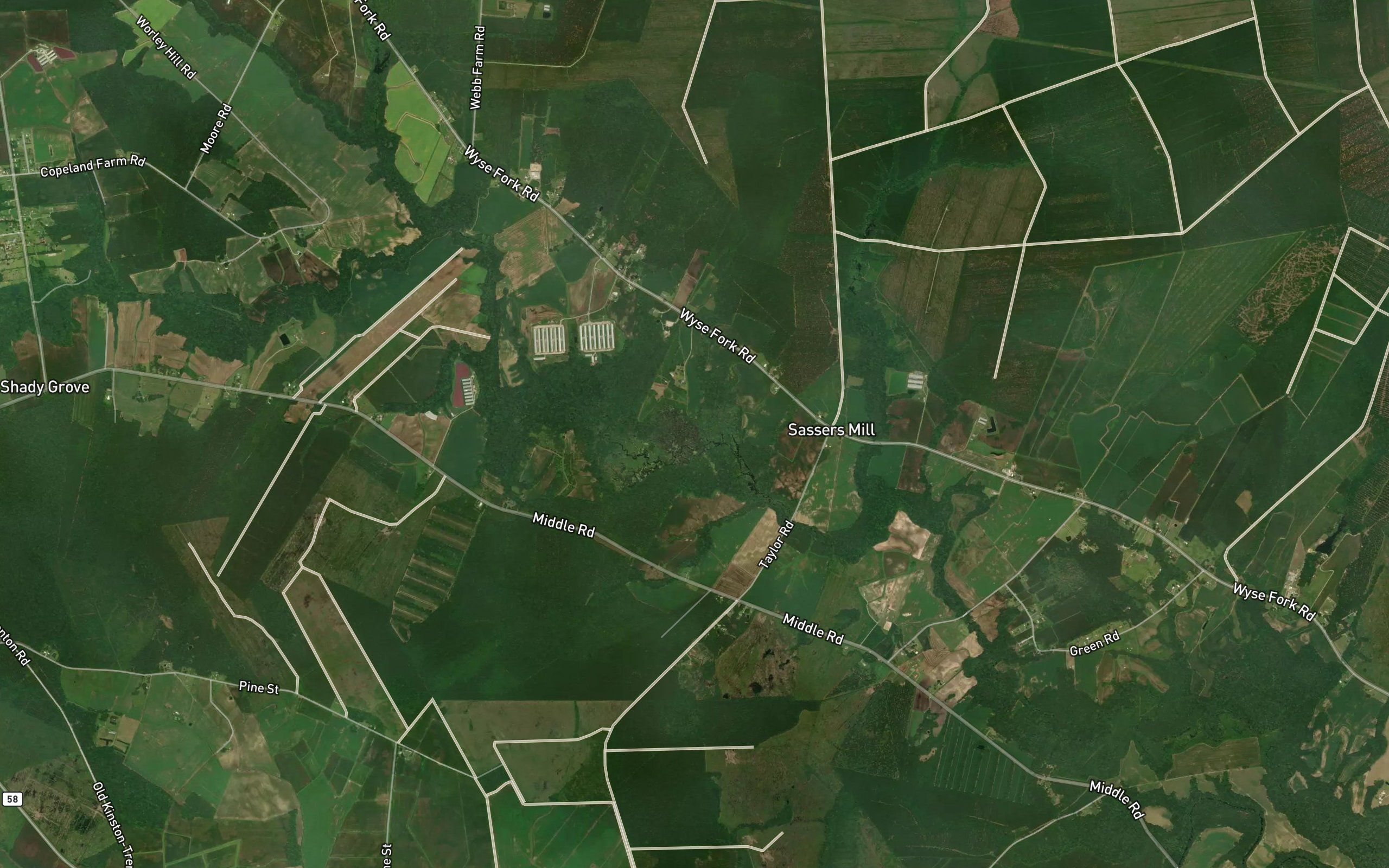 Trace Branch