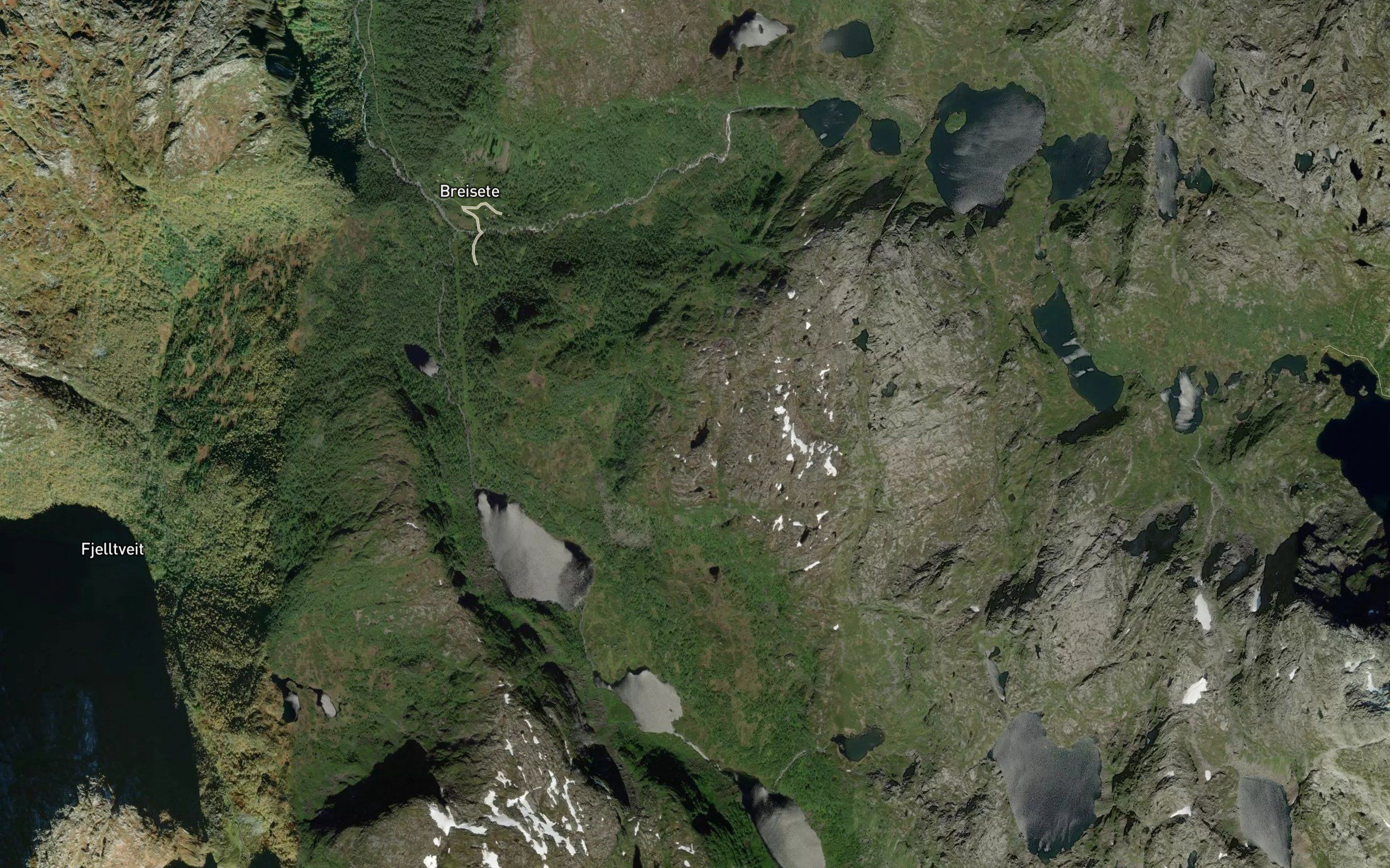 Nottatjorn