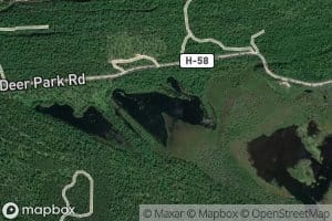 Mud Lake
