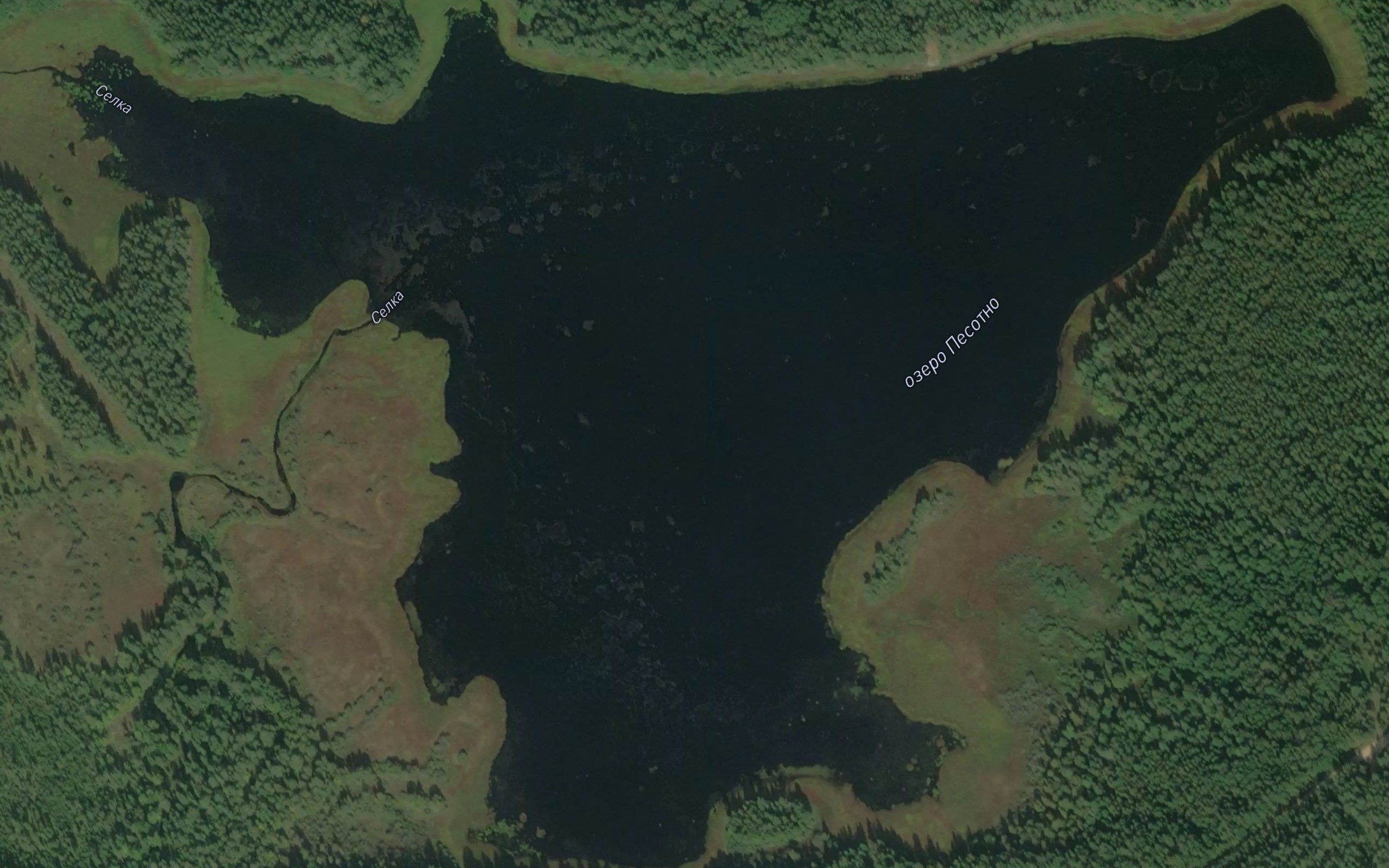Ozero Pesotno