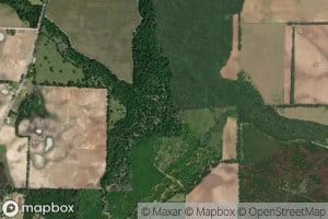 Bazemores Mill Branch