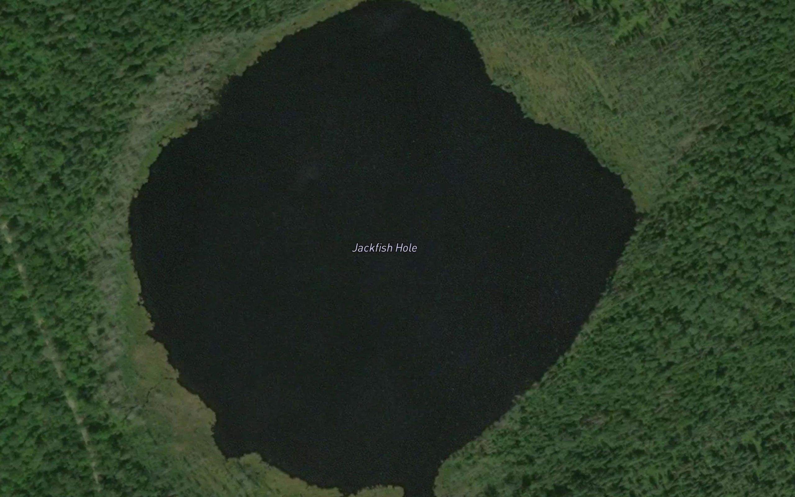 Jackfish Hole
