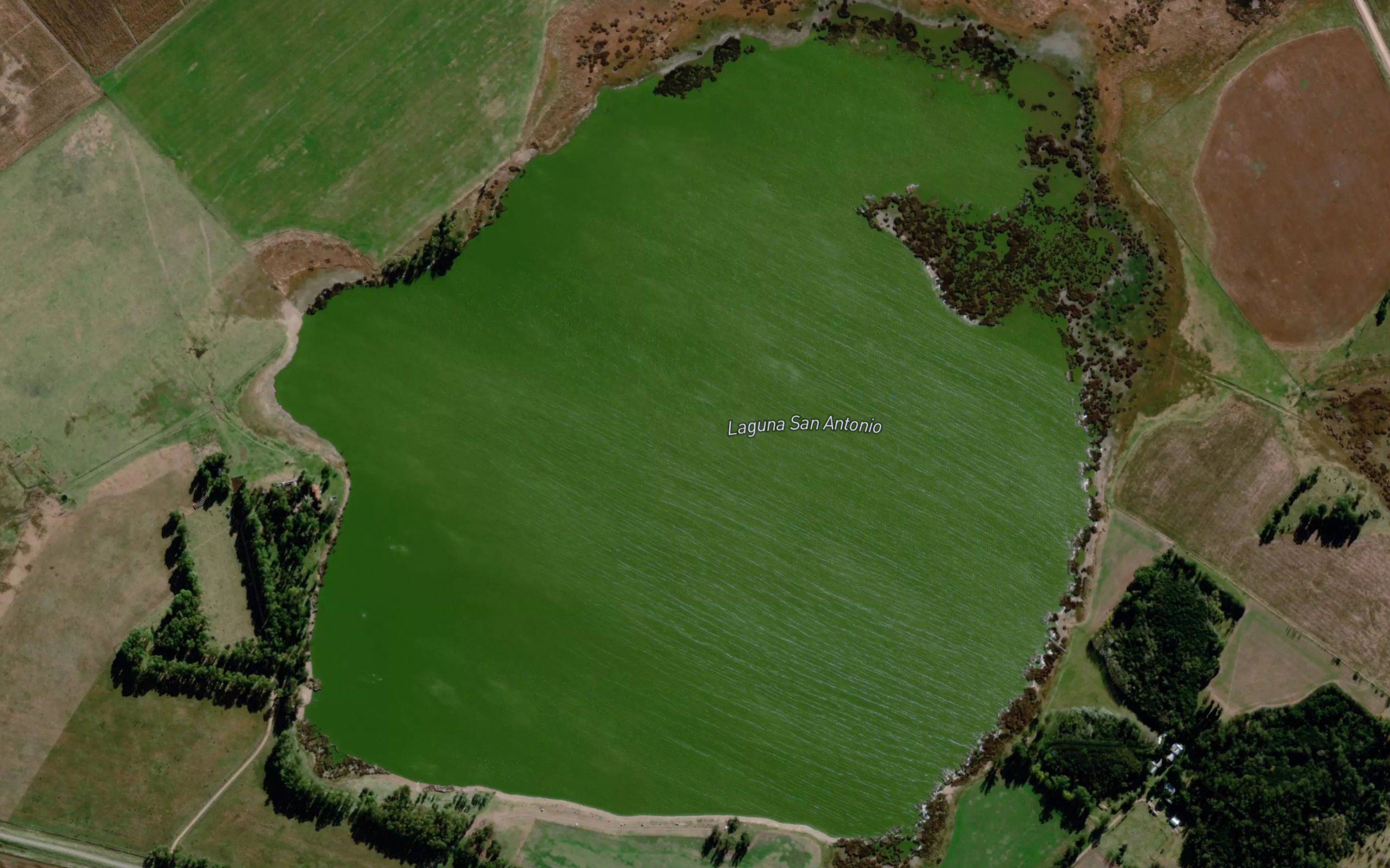 Laguna San Antonio