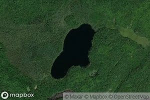 Swamp Lake