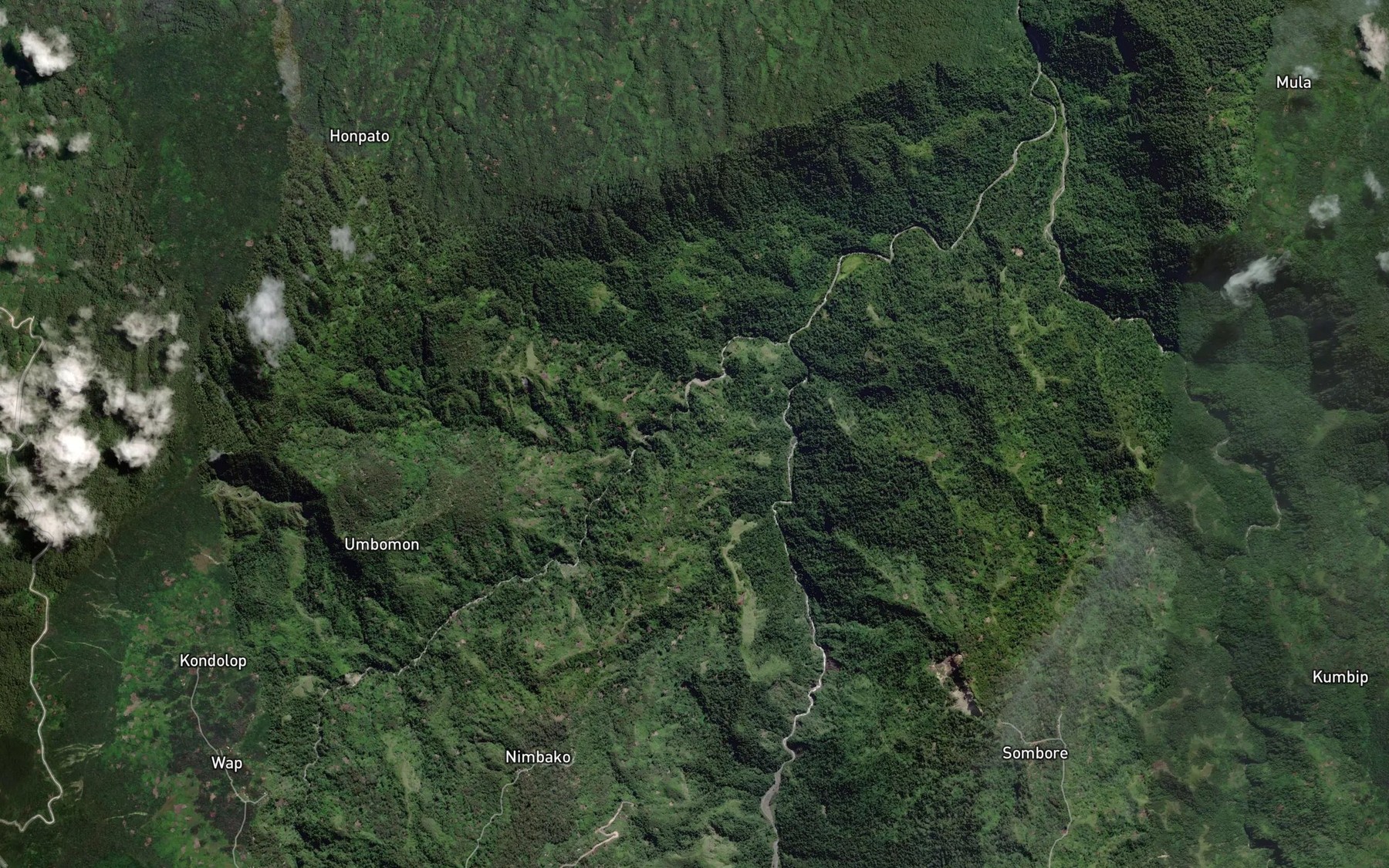 Satellite map of the Pumine River