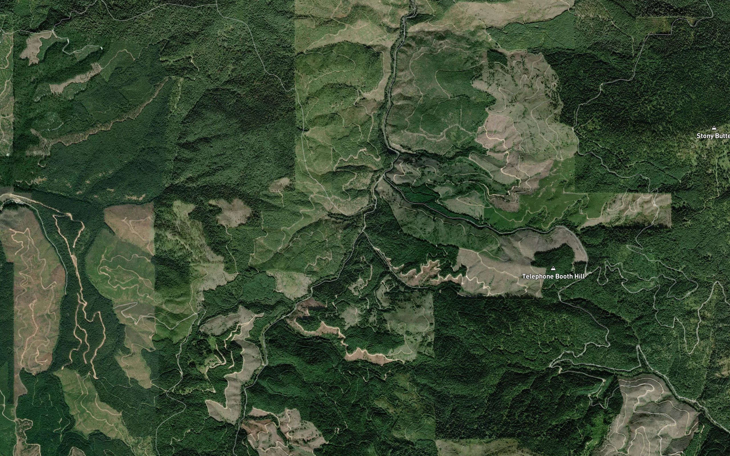 Scaler Creek
