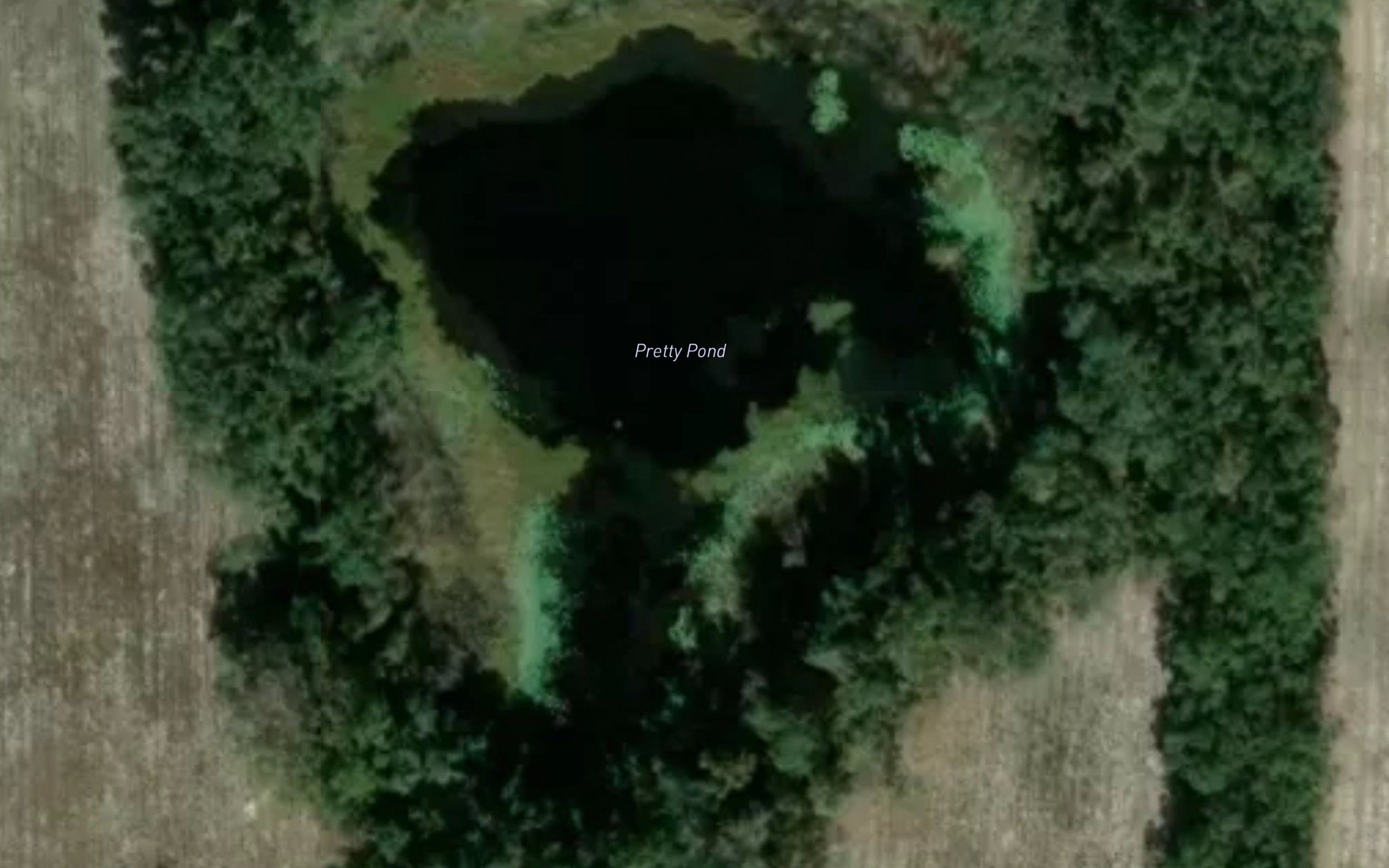 Pretty Pond