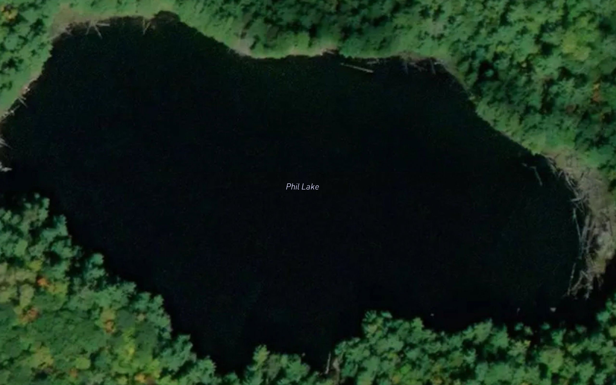 Phil Lake