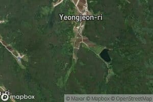 Yongjoni-mot