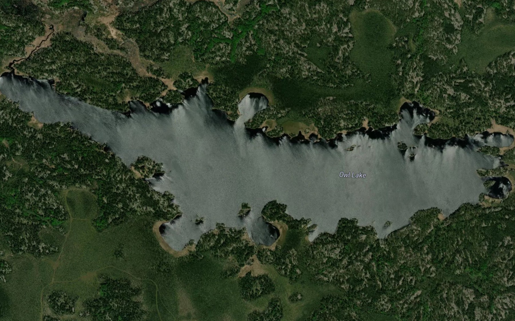 Satellite map of the Owl Lake