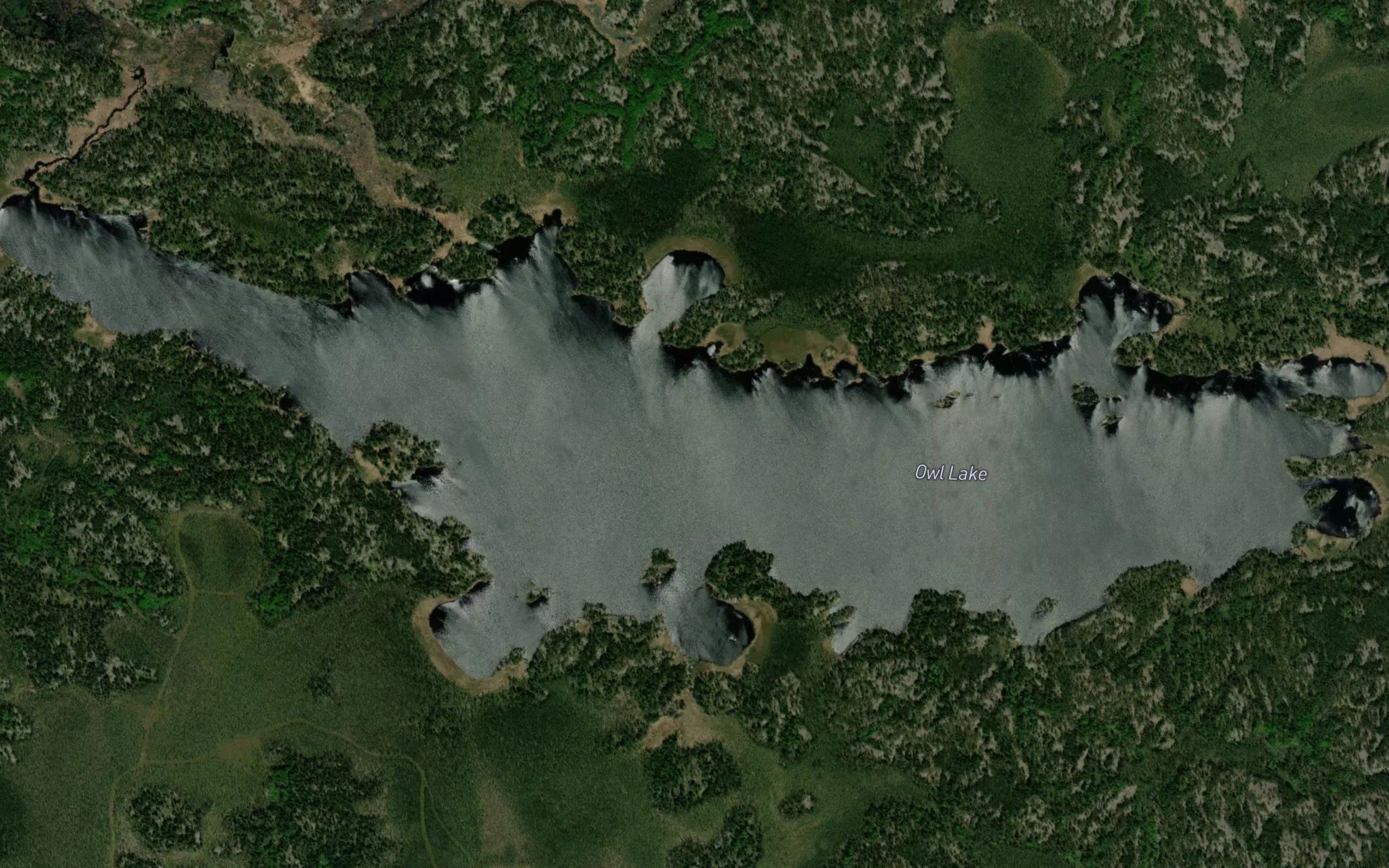 Owl Lake