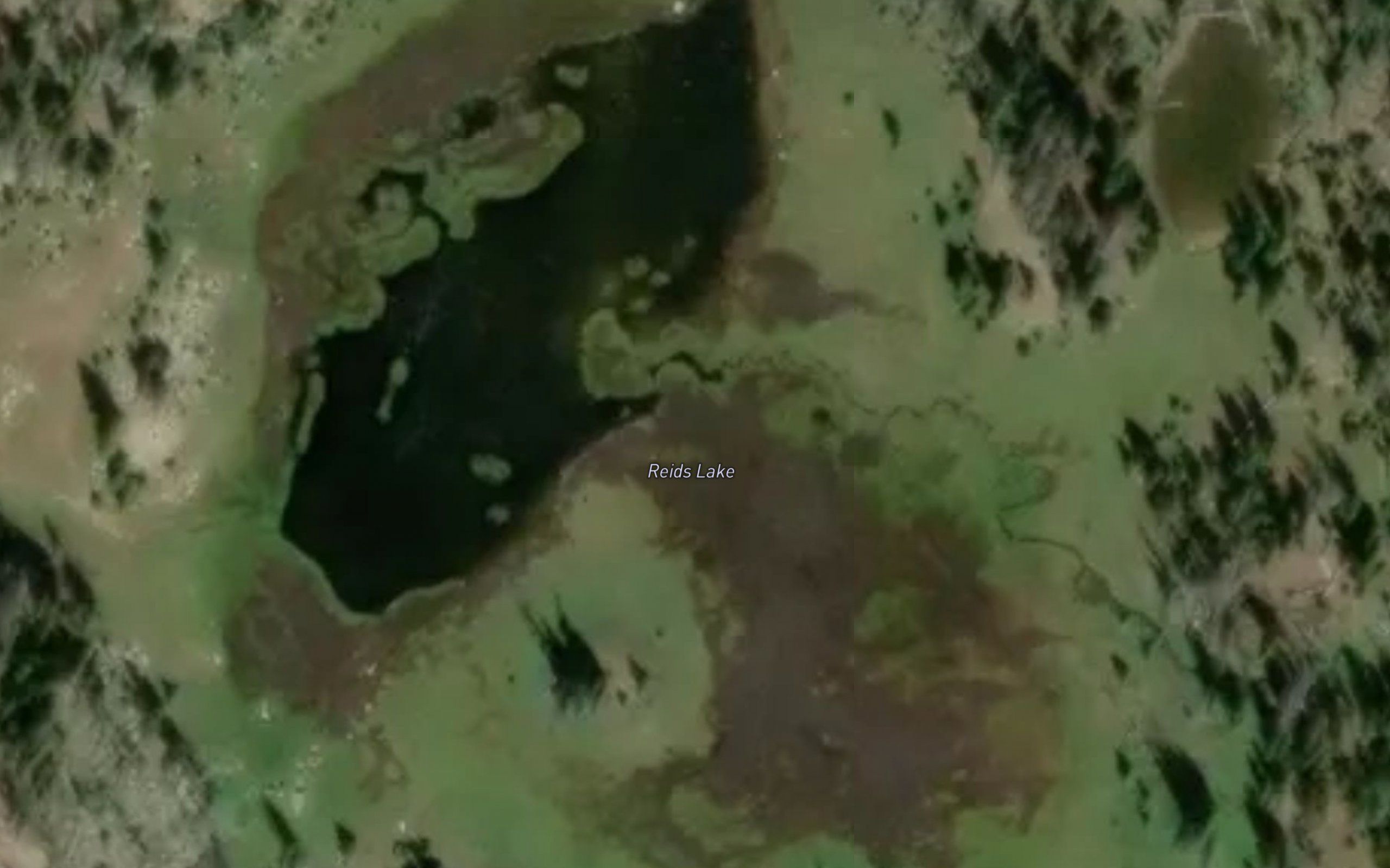 Reids Lake